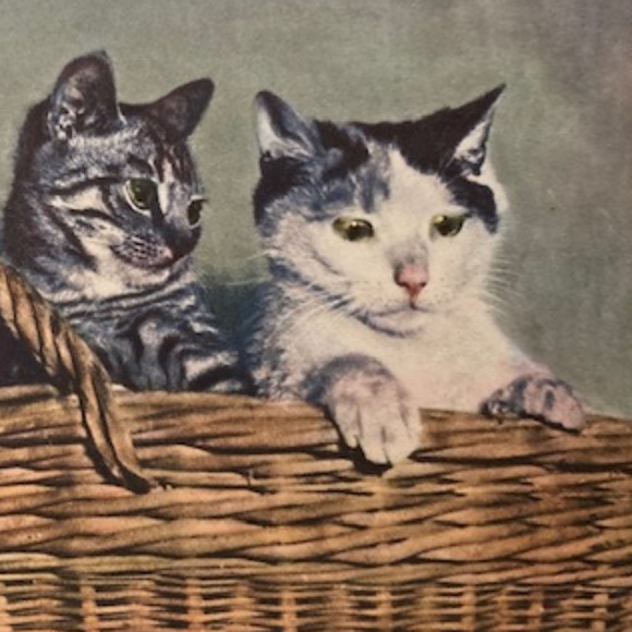 ~Welcome to my Closet~ - Picture 6 of 15